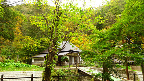 黄ばみ始めた木々と「ふるさと館」