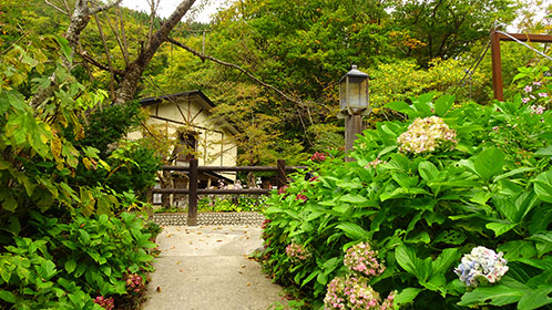 紅葉スタートの離れから見る本館裏