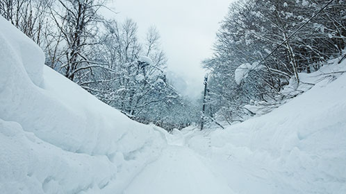 雪の青荷山道