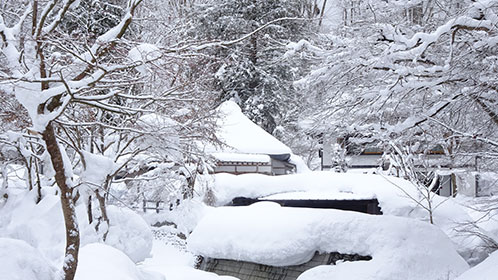 雪花咲く離れ三棟