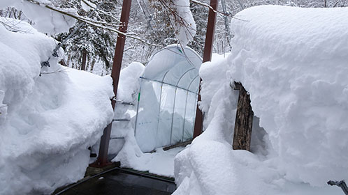 吊り橋トンネルも雪に埋もれる程