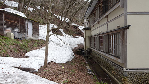 まだまだ雪の残る青荷の敷地内
