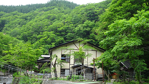 うっそうとした木々に埋もれ始めた青荷本館（裏手）