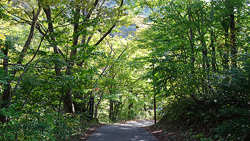 「のめくり坂」