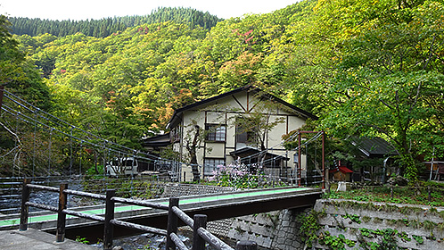 紅葉始まりを告げる渓底の樹木たち