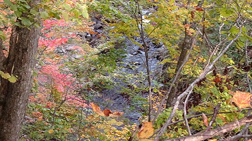 「のめくり坂」から観る青荷川