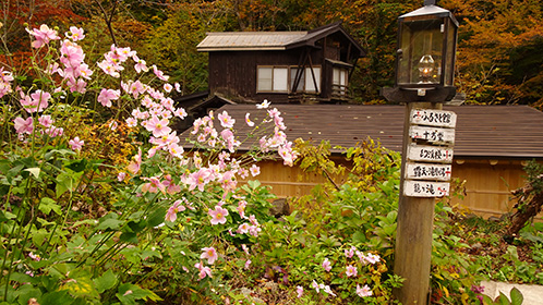外灯と「幻渓楼」