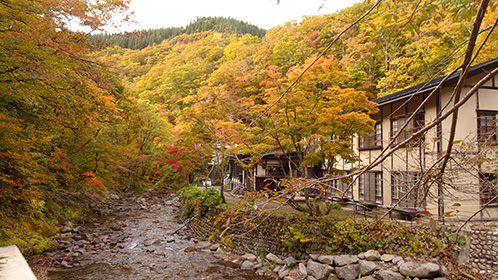 青荷川と本館裏手