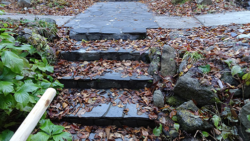 露天風呂前の落ち葉