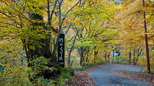 「のめくり坂」