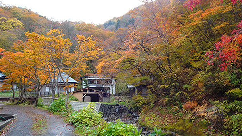 色付く離れ三棟と露天風呂