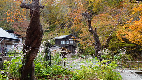 紅葉に埋もれる「幻渓楼」