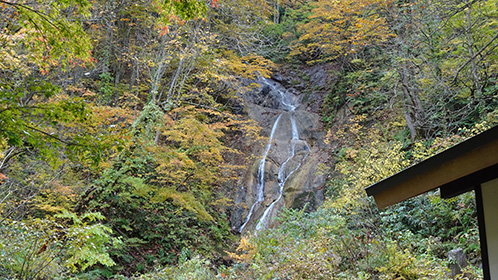 紅葉の中を静かに流れ落ちる「竜神の滝」