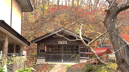 本館裏口に有る「ランプ小屋」

