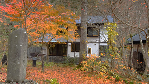 手前には落ち葉が敷き詰められた「滝見の湯」を、横から見た所。