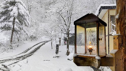 青荷玄関前の外灯