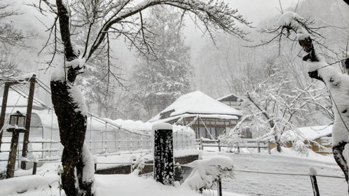 吊り橋と離れ「ふるさと館」